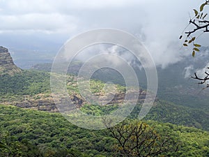 “Bhimashankar: A Monsoon Getaway in the Sahyadri Range”(Selective focus)