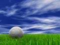 001 (a) grass at 9000 and sky 008 (a) Royalty Free Stock Photo