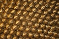 025 background of golden shells