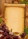 0ld paper background with autumn chestnuts Royalty Free Stock Photo