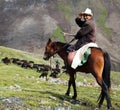 10th of October 2013 - stockrider with flock in Alay mountains on pastureland Royalty Free Stock Photo