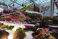 10th TIOS 2011,Taiwan International Orchid Show