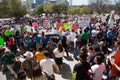 11,000 protesters convene at Texas Capitol Royalty Free Stock Photo