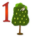 12 Days of Christmas: 1 Partrige in a Pear Tree Royalty Free Stock Photo