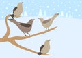 12 Days of Christmas: 4 Calling Birds Royalty Free Stock Photo