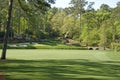 12th hole at golf course Royalty Free Stock Photo