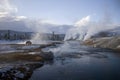 16 Yellowstone geyser and a Buffalo Royalty Free Stock Photo