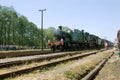 16th Steam Locomotive Parade 2009 - Train 5521