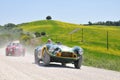 1953 Aston Martin and 1950 Healey at 1000 Miglia