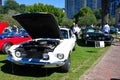 1967 Shelby GT500 Ford Mustang