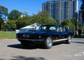 1967 Shelby GT500 Ford Mustang Royalty Free Stock Photo