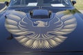 1980 Pontiac Firebird Trans Am Hood