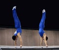 2 gymnasts on parallel bars