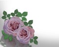 2 Lavender Roses Corner design