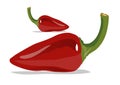 2 red hot chilli Royalty Free Stock Photo