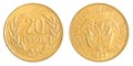 20 Colombian pesos coin Royalty Free Stock Photo