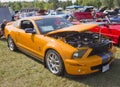 2007 Ford Shelby Cobra