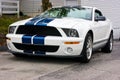 2009 Ford Shelby Cobra GT 500 Royalty Free Stock Photo