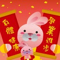 2011, year of rabbit