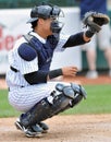 2012 Minor League Baseball Action