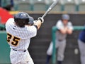 2012 Minor League Baseball Action