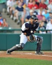 2012 Minor League Baseball Action