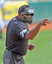 2012 Minor League Baseball Action