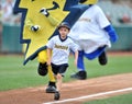 2012 Minor League Baseball - Eastern League Royalty Free Stock Photo