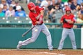 2012 Minor League Baseball - Eastern League Royalty Free Stock Photo