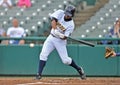 2012 Minor League Baseball - Eastern League Royalty Free Stock Photo