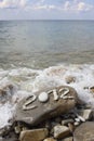 2012 on stone sea coast Royalty Free Stock Photo