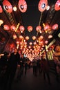 2013 Chinese Lantern Festival in Chengdu