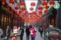 2013 Chinese New Year Temple Fair in Chengdu