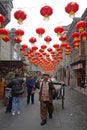 2013 Chinese New Year Temple Fair in Chengdu