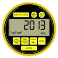 2013 New Year modern digital manometer