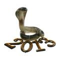 2013 - year of the Snake