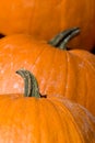 3 big Pumpkins Royalty Free Stock Photo