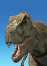 3 D rendering of a Tyrannosaurus Rex. Royalty Free Stock Photo