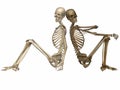 3 D Skeletons - Friends for ever