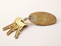3 Gold Keys and blank keychain isolated Royalty Free Stock Photo