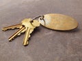 3 Keys and keychain on tile Royalty Free Stock Photo