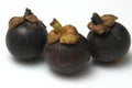 3 mangosteens Royalty Free Stock Photo