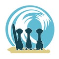 3 Meercat Surfers & Wave