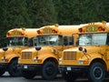 3 school busses Royalty Free Stock Photo