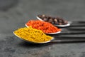 3 Spices Royalty Free Stock Photo