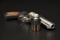 .357 Magnum Royalty Free Stock Photo