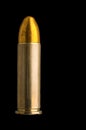 .38 Special round nose FMJ round Royalty Free Stock Photo