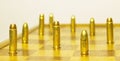 .38 special versus 9 luger Royalty Free Stock Photo