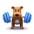 3d Dog powerlifter