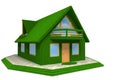 3d Grass House icon isolated